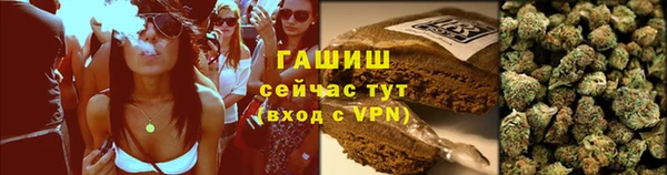 сатива Заводоуковск