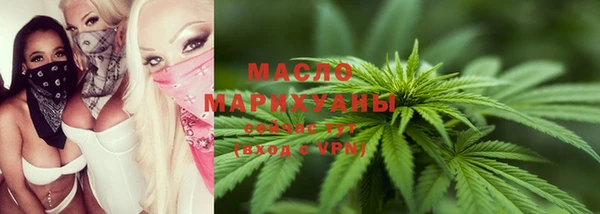 сатива Заводоуковск