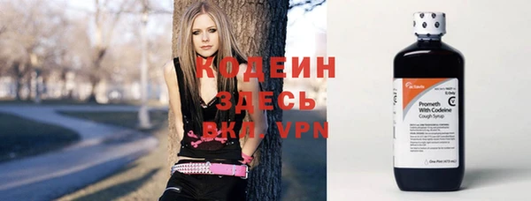 сатива Заводоуковск