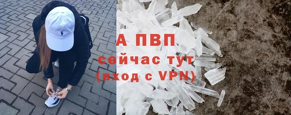 сатива Заводоуковск