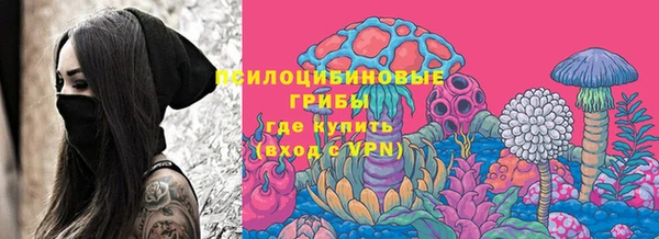 сатива Заводоуковск