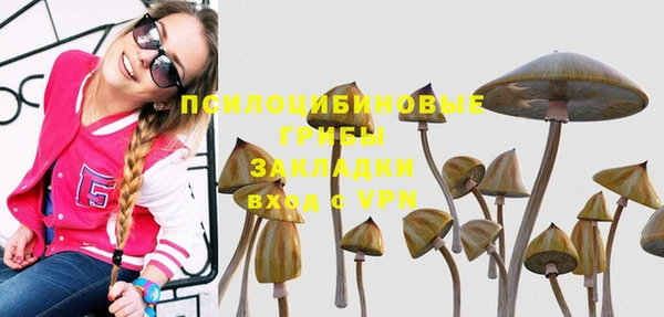 а пвп мука Елабуга
